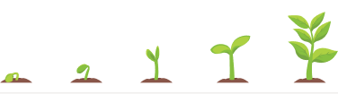 Five growth stages from seedling to mature plant